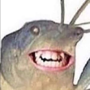 Meet your Posher, Carly